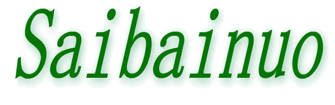 Jinan Saibainuo Extrusion Machinery Co., Ltd.